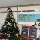 애견미용 | 반려견을 위한 해운대 몽아띠 애견 미용 · 스파 후기 ❤️