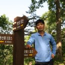 하추 이미지