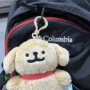 처갓집양념치킨 단양점 | 알레버스 타고 소백산 후기 (어의곡-비로봉-천동삼거리)