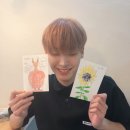 피치그레이 이미지