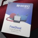 산뜻하개 이미지