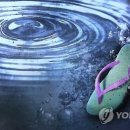 "안전요원 있었는데"..강원랜드호텔 수영장서 6세 아이 숨져 이미지