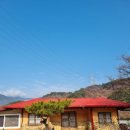 구례펜션노란 이미지