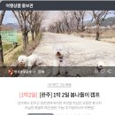 다녀올개 이미지