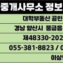 택지홀덤
