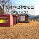 데일리 207 이미지