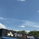 카페알파카 | 특별한 추억을 만들 수 있는 이색 데이트! 마추픽추 알파카 카페 방문 후기 평창놀거리 휘닉스 근처 갈 곳