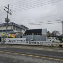 금산 야외바베큐 추천 애견동반가능 금산맛집 피그캠 후기