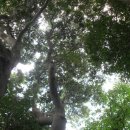 부산기사식당 이미지