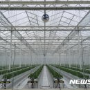 선남축산 뉴시스