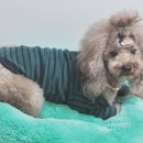 주식회사여울 이미지