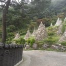 와우정사 이미지