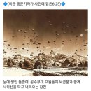 6.25 사변 기록 엄마생각 이미지