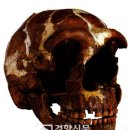 내 몸에 네안데르탈인의 피가 흐른다? 석회암동굴의 주거 최초주거둥지 지금 시멘트집 이미지