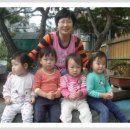 솔밭왓앤와이유치원 Daum카페