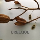 유리크