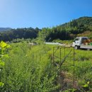 벽진농장 이미지