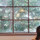 월하A동 이미지