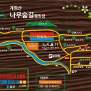 계명산나무숲길캠핑장 이미지