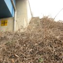 GS더프레시 대치사거리점 | 걸어서 서울역에서 부산역까지(10일차: 충북 진천군-&gt;청주시)