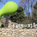 도브투래빗