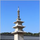 창녕옥야중학교 이미지