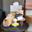 [군산여행] 2일차 : 일본식가옥, 고우당, 동국사, 초원사진관, 군산근대역사박물관