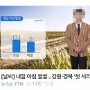 ytn 남자 기상캐스터 썼네 이미지