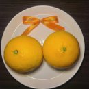겨울엔 황금향! 겨울에 먹을 간식으로 제주산 [자연애농원] 황금향 추천