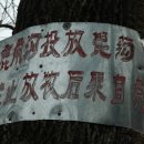 선녀와나뭇꾼 이미지