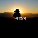 세상살이 이미지