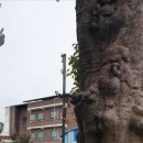 남원 선원사 철조여래좌상 | 남원[천년고찰]. Namwon Manhaengsan Mt. Seonwonsa Temple. 만행산 선원사