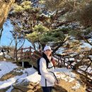 [청계산 등산코스] 청계산입구역-옥녀봉-매바위-매봉 시간 및 정보