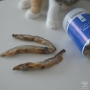 지원덴탈(G1 DENTAL) | 고양이 간식 캣디피 열빙어 저염트릿 아기고양이간식 추천