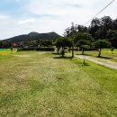 부주산국제파크골프장 이미지