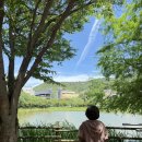매월건강랜드이발부 | 광주 매월호수 전평제근린공원 데이트 코스 주차 산책 후기