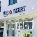 비비베리(VIVIBERRY)