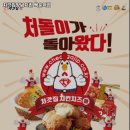 처갓집양념치킨백운역점
