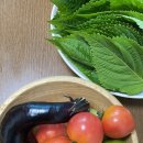 달림농장 이미지