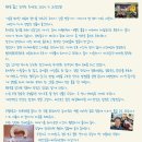 174회 부산큰솔나비 독서모임 후기/당신이 틀릴 수도 있습니다