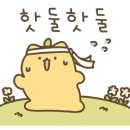 SOK속편한내과의원 네이버블로그
