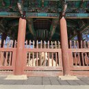 신라투어