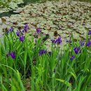 임종헌한의원 이미지