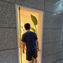 백옥대로1068번길 | 김량장동카페 카페인24 용인터미널점 후기