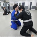 화랑합기도 주짓수 금촌도장 이미지