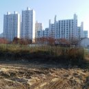 서구-01-26 이미지