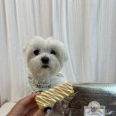 모쿠, 또모쿠 이미지