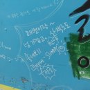 게스트하우스 정글 민박 이미지