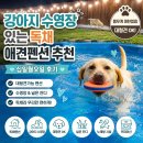 십일월오일 | 강아지 수영장 있는 독채 애견펜션 추천 십일월오일 후기 몸무게 제한 없는 대형견가능 펜션