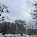 11590-라28-1 | [ 삿포로 비에이투어 ] 내돈내산 후기 / 준페이 식당 / 3월 함박눈 / 라쿠투어 예약